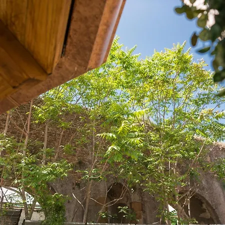 The Garden Regency-3